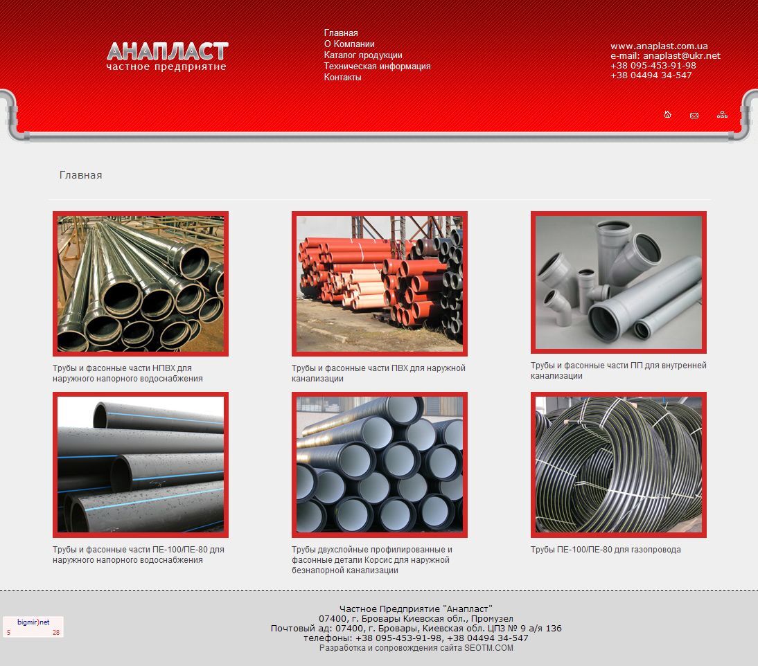 A corporate website of Anaplast