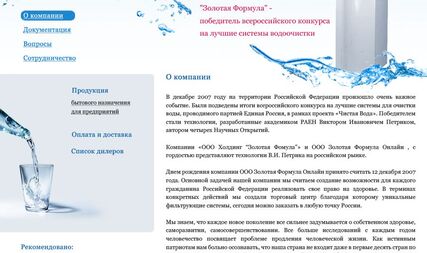 Website design for the company 