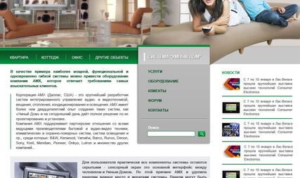 Website design for IT company