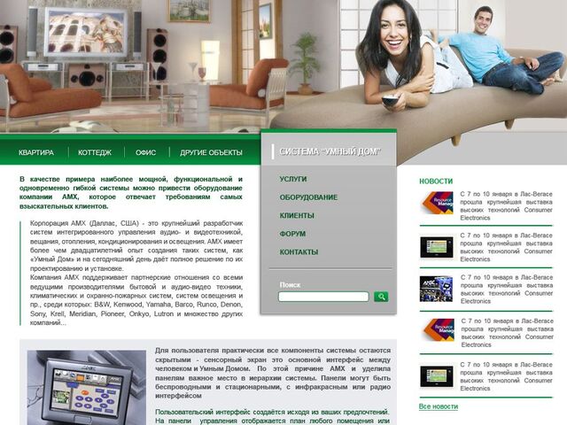 Website design for IT company