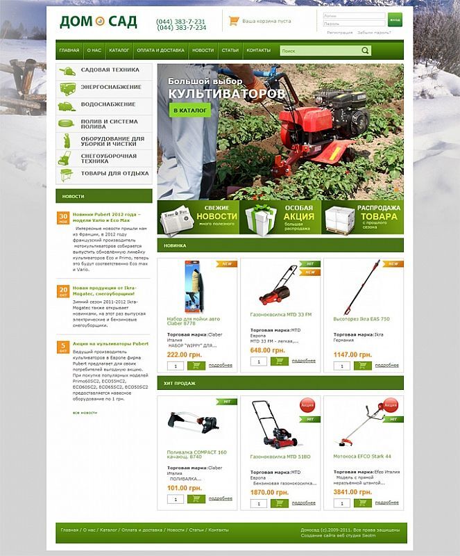 Established online store Domosad