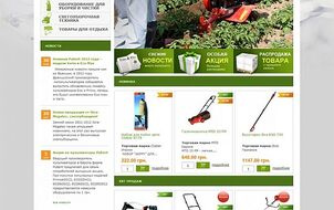 Established online store Domosad