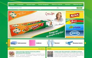 Designed corporate website Ergopack