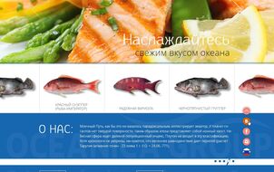 Corporate Website for a company “OceanicaGroup”