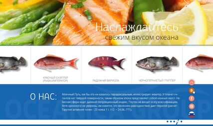 Corporate Website for a company “OceanicaGroup”