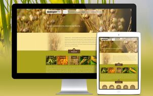 Corporate Website for the company “Favoryt- Agro”