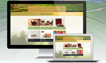 Corporate Website Development for ™ “Mabroc”