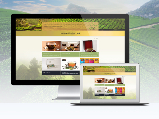 Corporate Website Development for ™ “Mabroc”