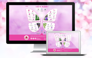 Development of Unique Design for Promotional Website of  the product “Menokvin”