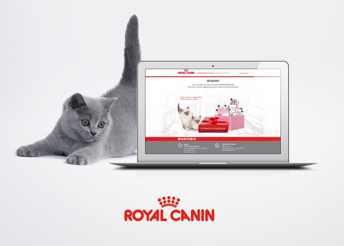 Promo site for the company Royal Canin