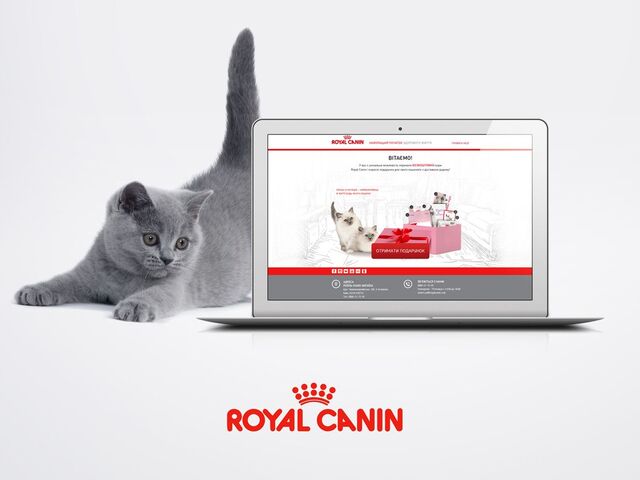Promo site for the company Royal Canin