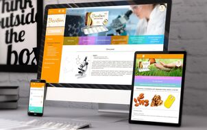 Website development for a pharmaceutical preparation 