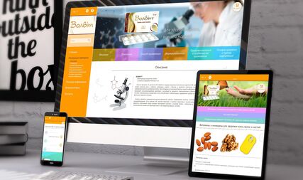 Website development for a pharmaceutical preparation 