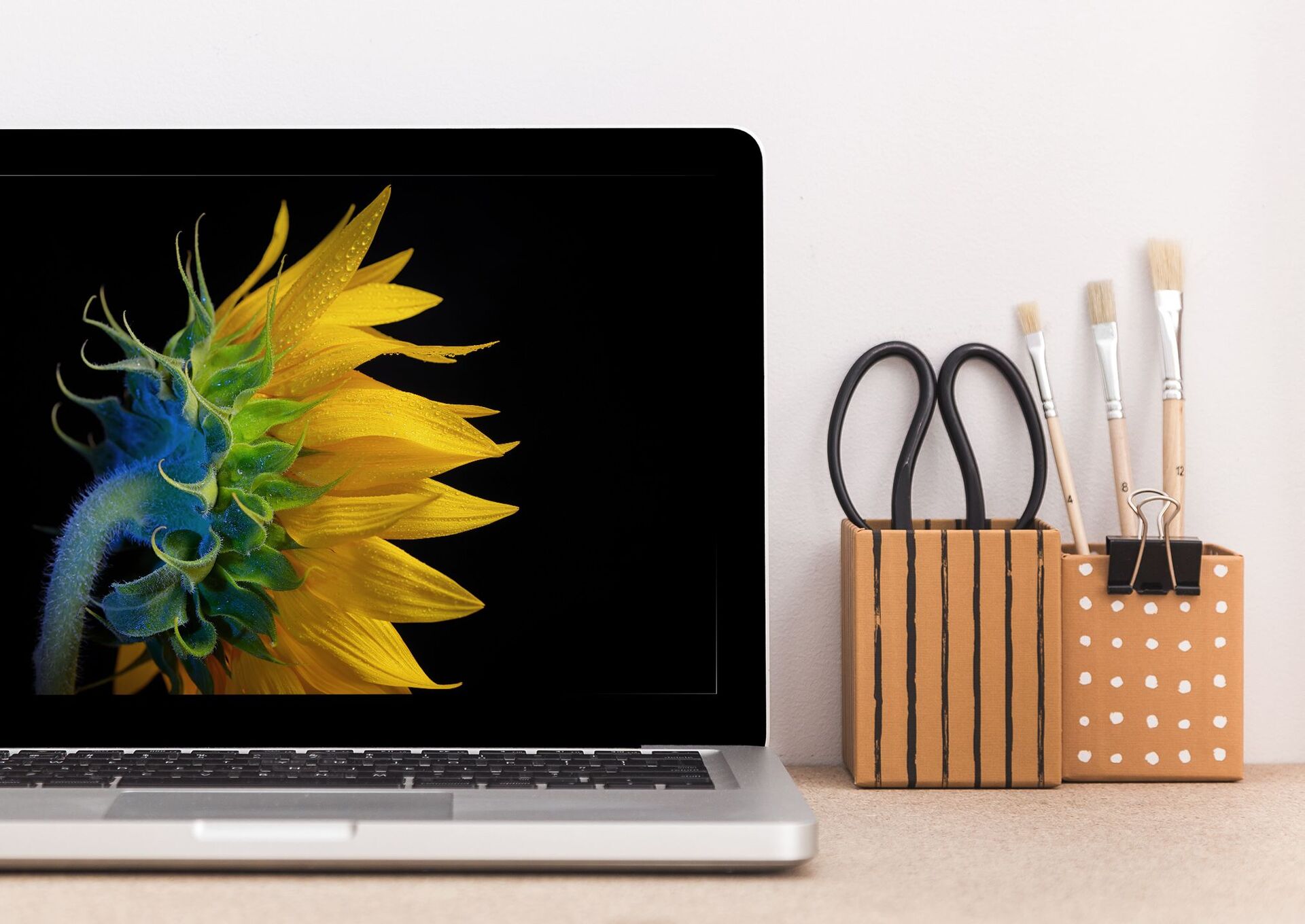 Seed grains and plants e-store SEO