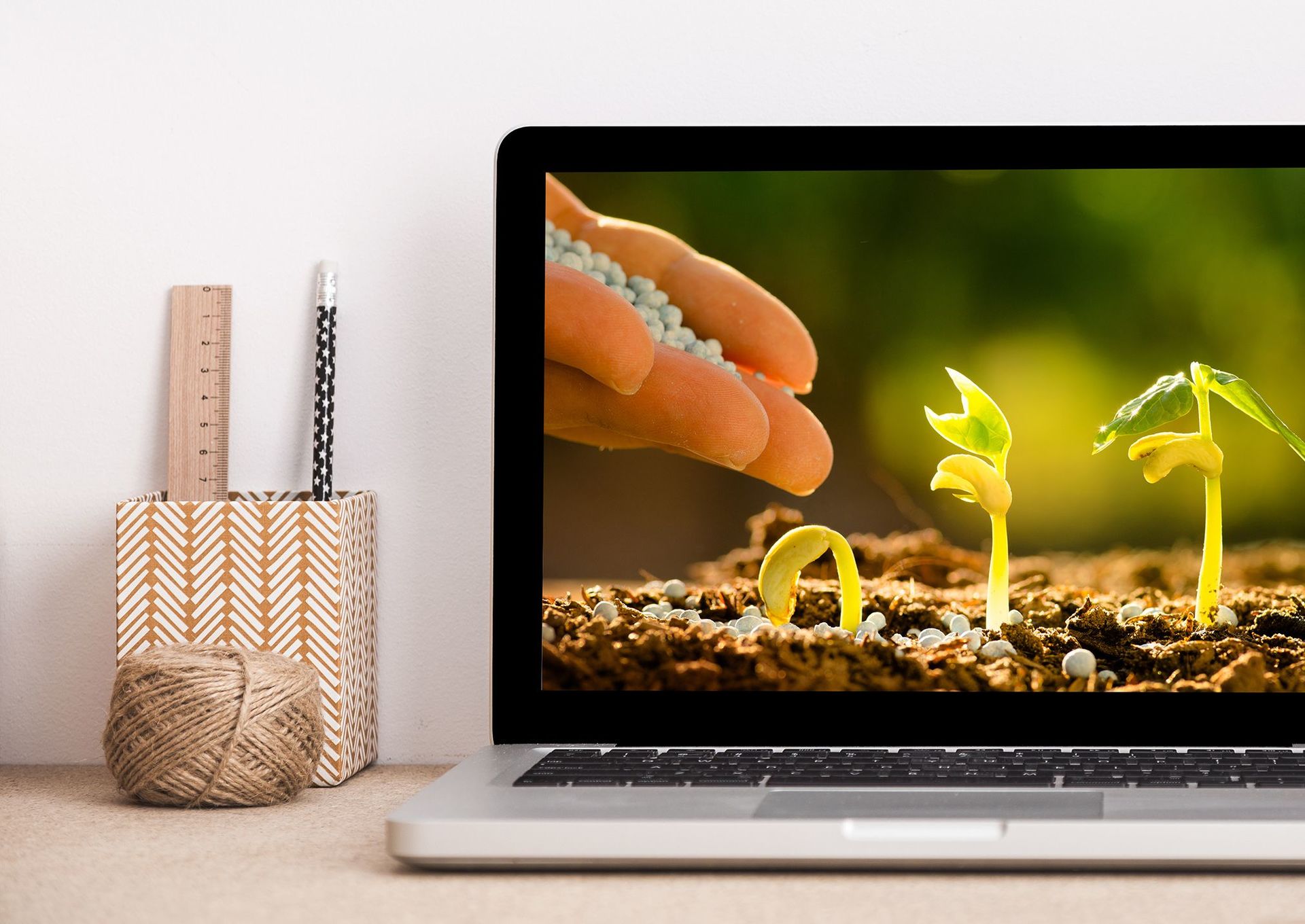 PPC-case: seed grains and plants online store advertising