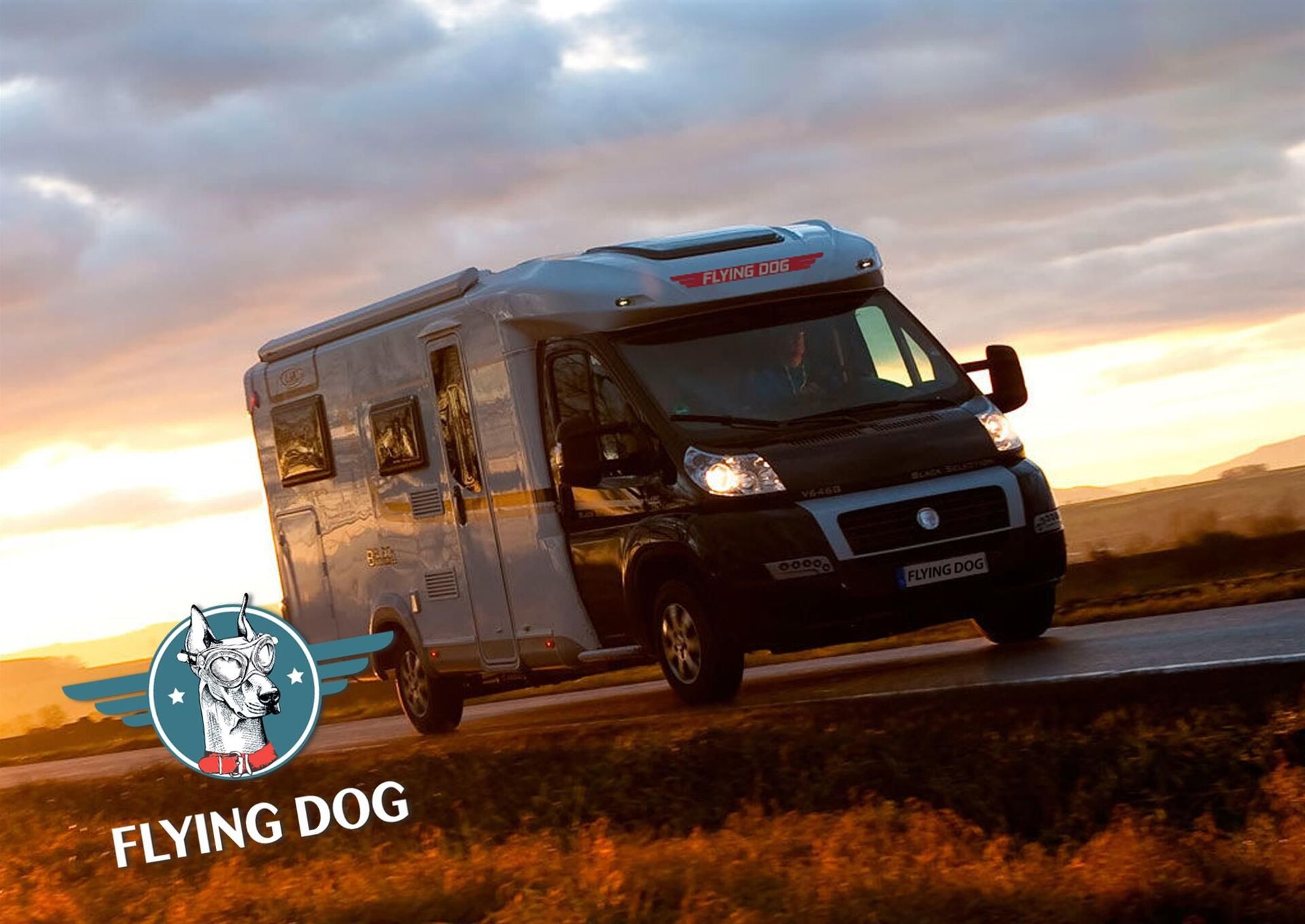Motorhomes rental service development for Flying Dog company